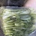 河北邯郸精品上海青小油菜，量大价优，小油菜