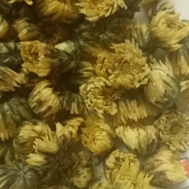 北京菊**