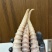 山羊角