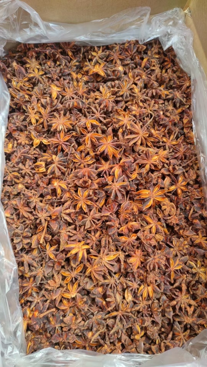 广西大红八角，水烫果无硫天然晒干，量大优惠全国发货