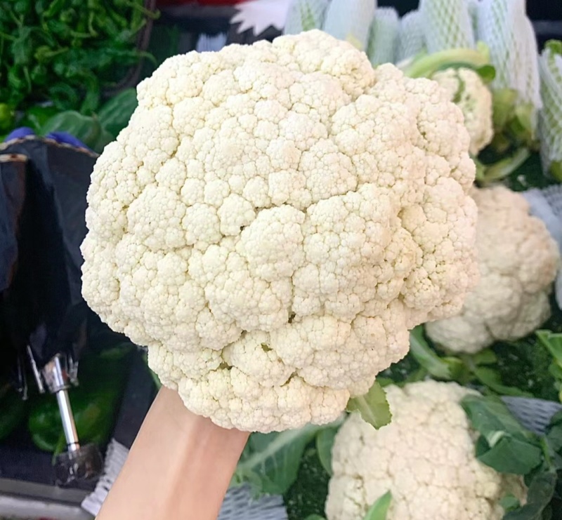 小米粒有机菜花乳白色松花菜精品花菜现摘现发品质新鲜