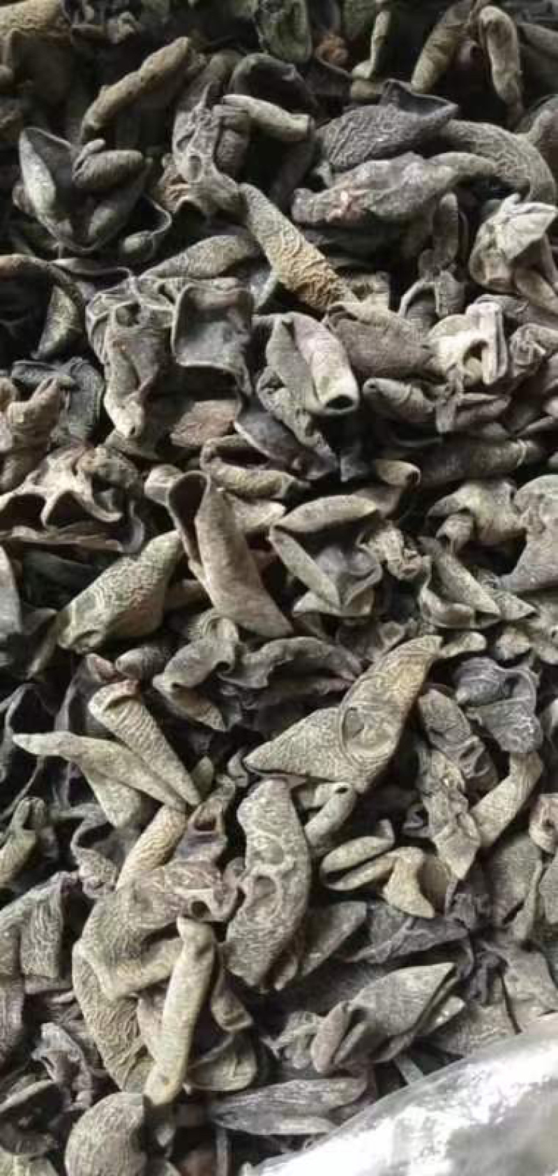 精品东北黑木耳口感好，味道纯正可视频看货