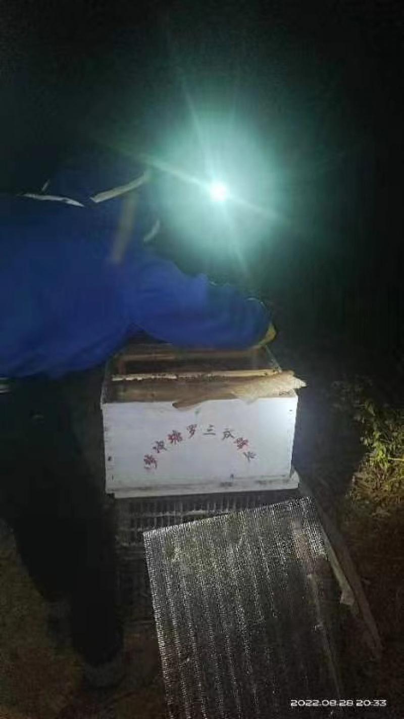 土蜂蜜重庆武隆区蜂蜜养殖场自产自销量大从优