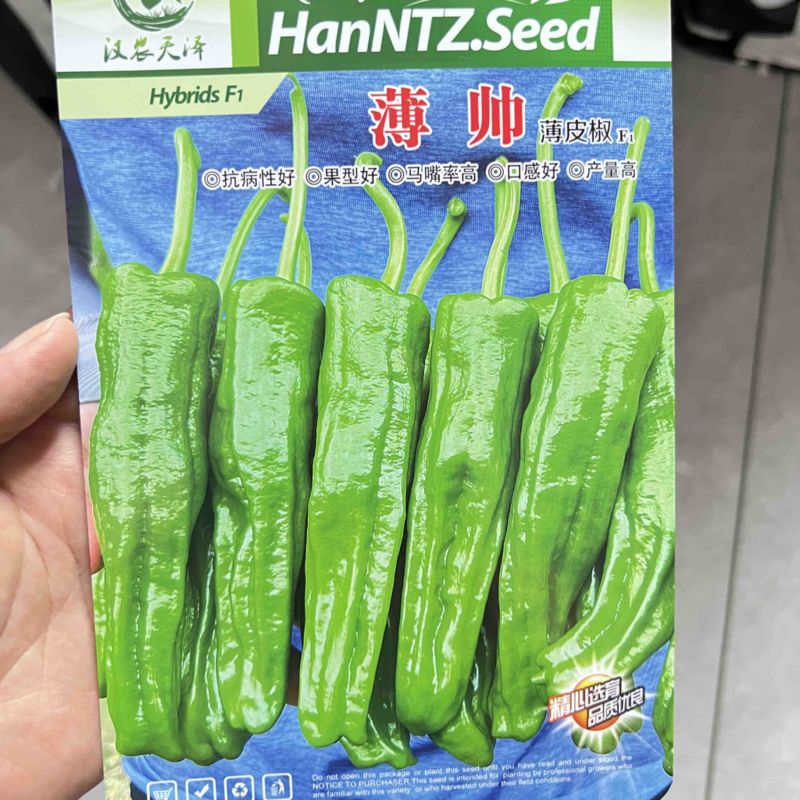 辣椒薄皮椒杂交种子/武汉/洪山区直供/可零售批发