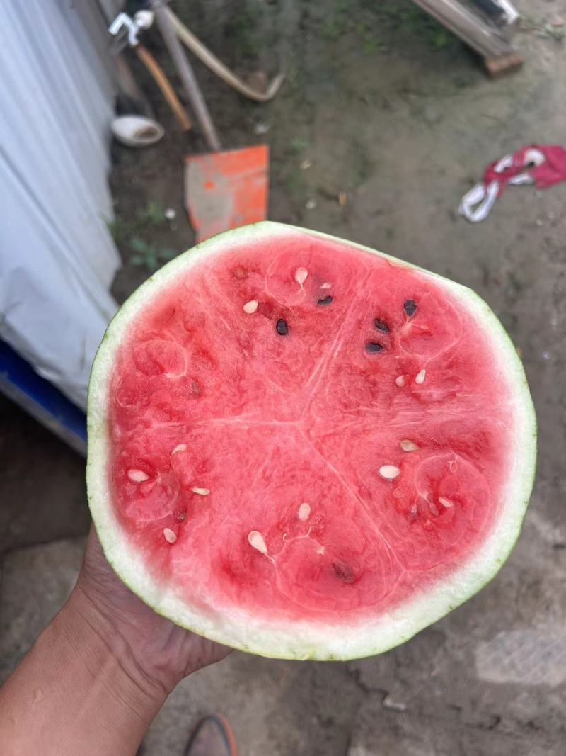秋瓜上市需要的联系