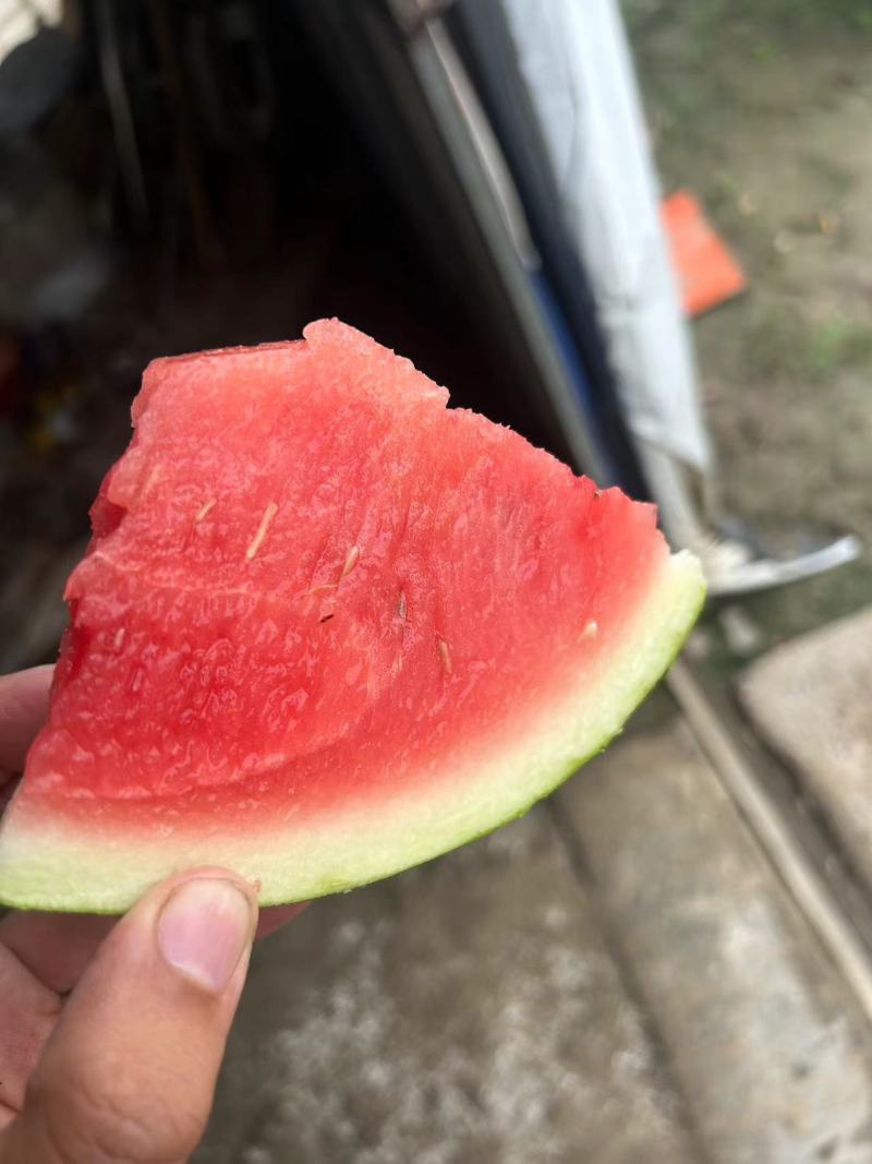 秋瓜上市需要的联系