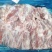 母猪后腱，25kg，23年11月