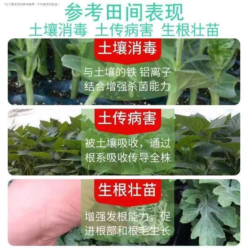 30%甲霜恶霉灵主要防治各种根腐病茎基腐病等