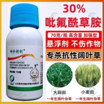 吡氟酰草胺30%:小麦大蒜田苗前封闭专用除草剂