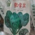 菠菜种子春秋菠菜种子叶片宽大肥厚耐寒耐热菠菜种子