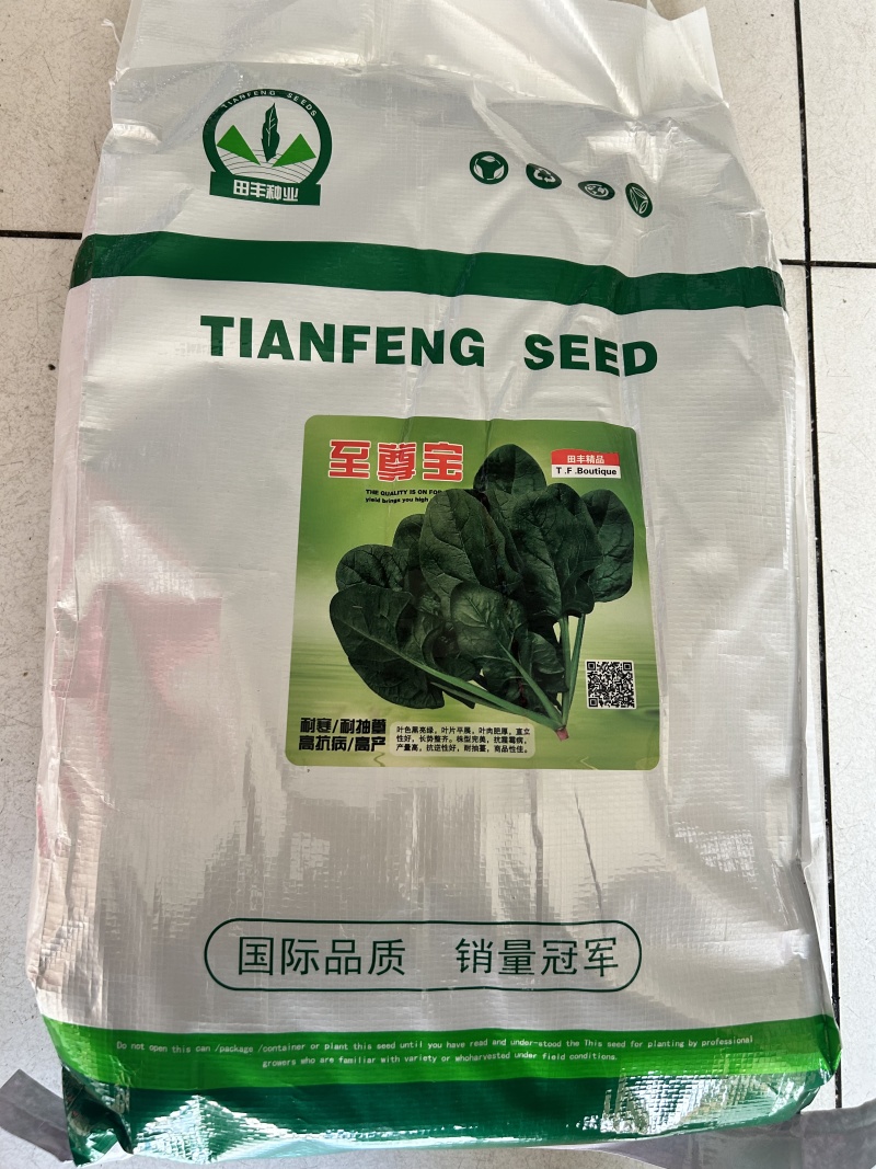 菠菜种子春秋菠菜种子叶片宽大肥厚耐寒耐热菠菜种子