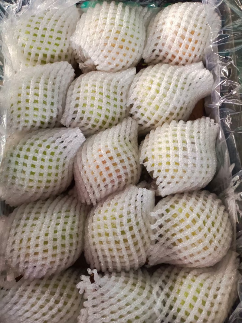 万荣临猗冷库大量雨露香梨货源充足。欢迎新老客户视频看货。