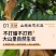 晚秋黄梨一斤以上特大果，个个精品。恒温库储存，常年供货