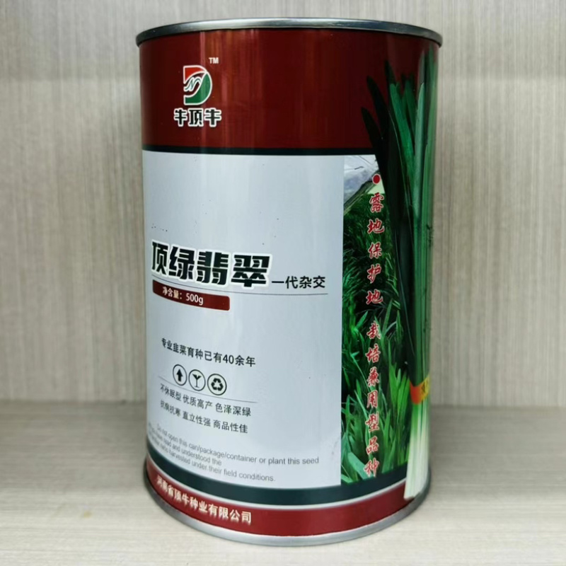 顶绿翡翠韭菜品种，不休眠，叶绿，高产品种，种子