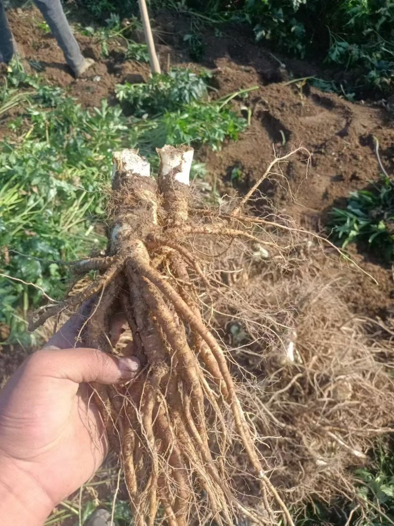 需要的请联系