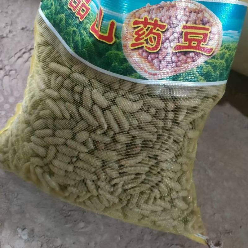 河北精品白山药豆山药大豆特大豆中豆小豆欢迎来电