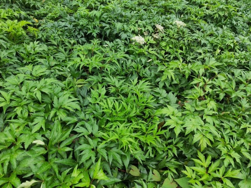 需要的联系我