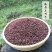 秦岭野生南五味子纯手工采摘野生南五味子高山采摘优质野生
