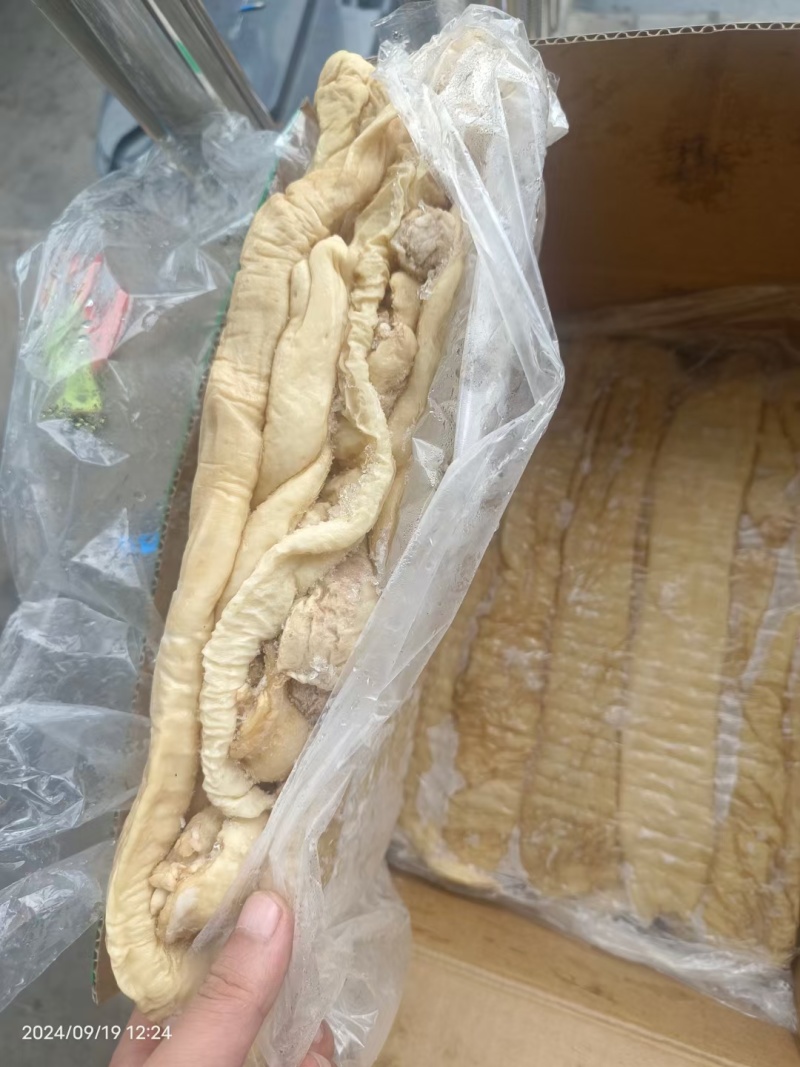 生大肠头20一60公分去油90%以上