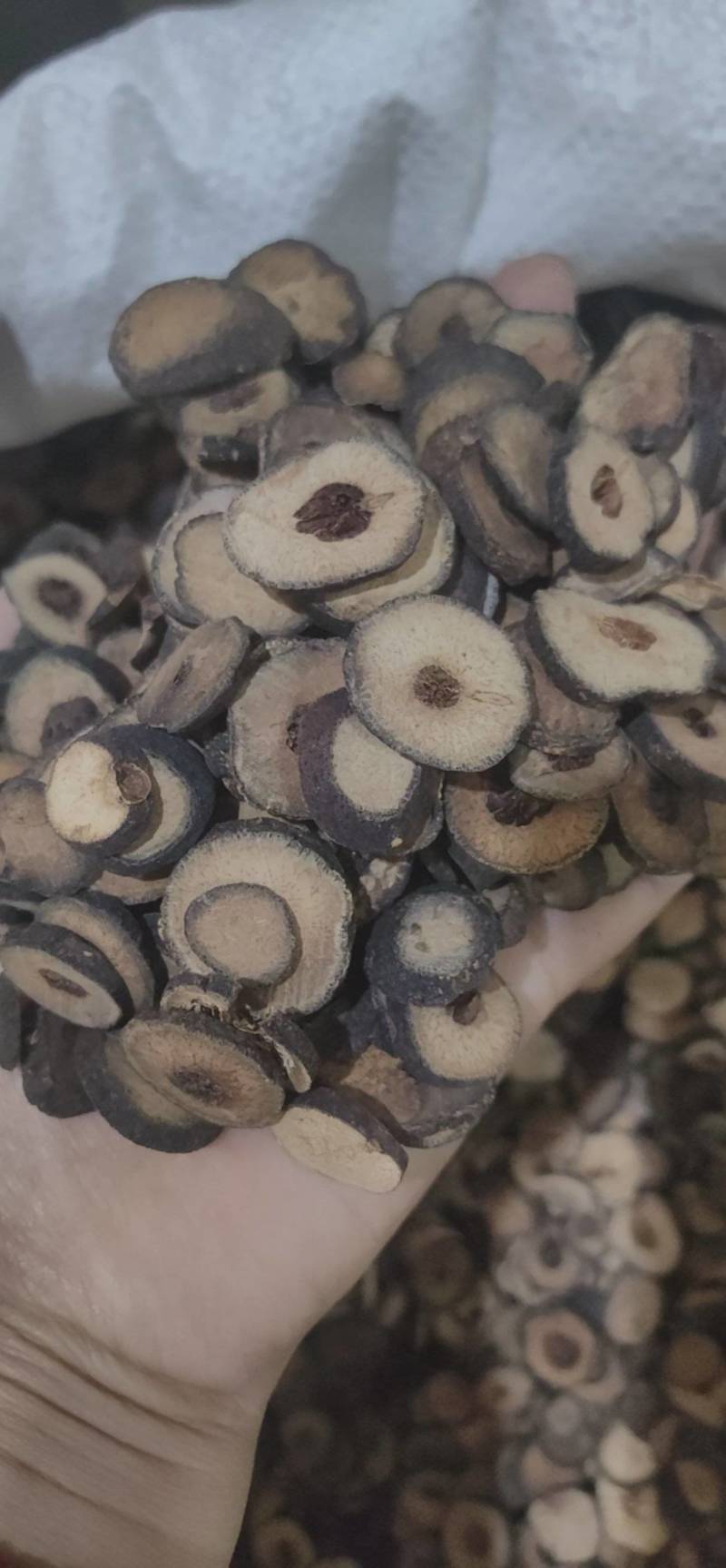 枳实枳实片产地货源，各种规格中药材批发品质保证枳实