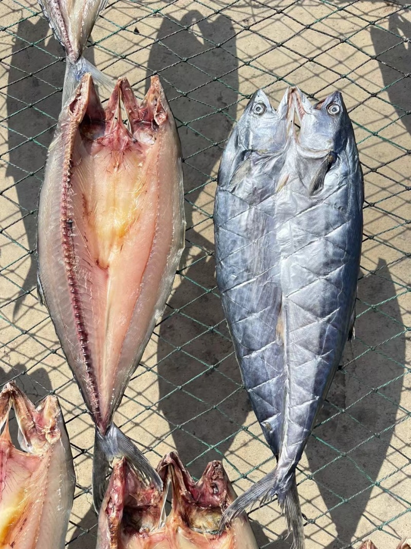 鲅鱼干