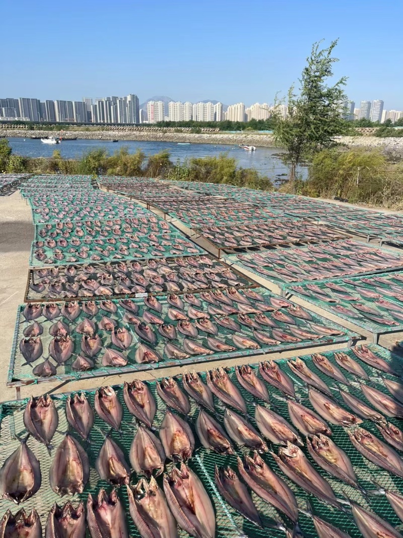 鲅鱼干