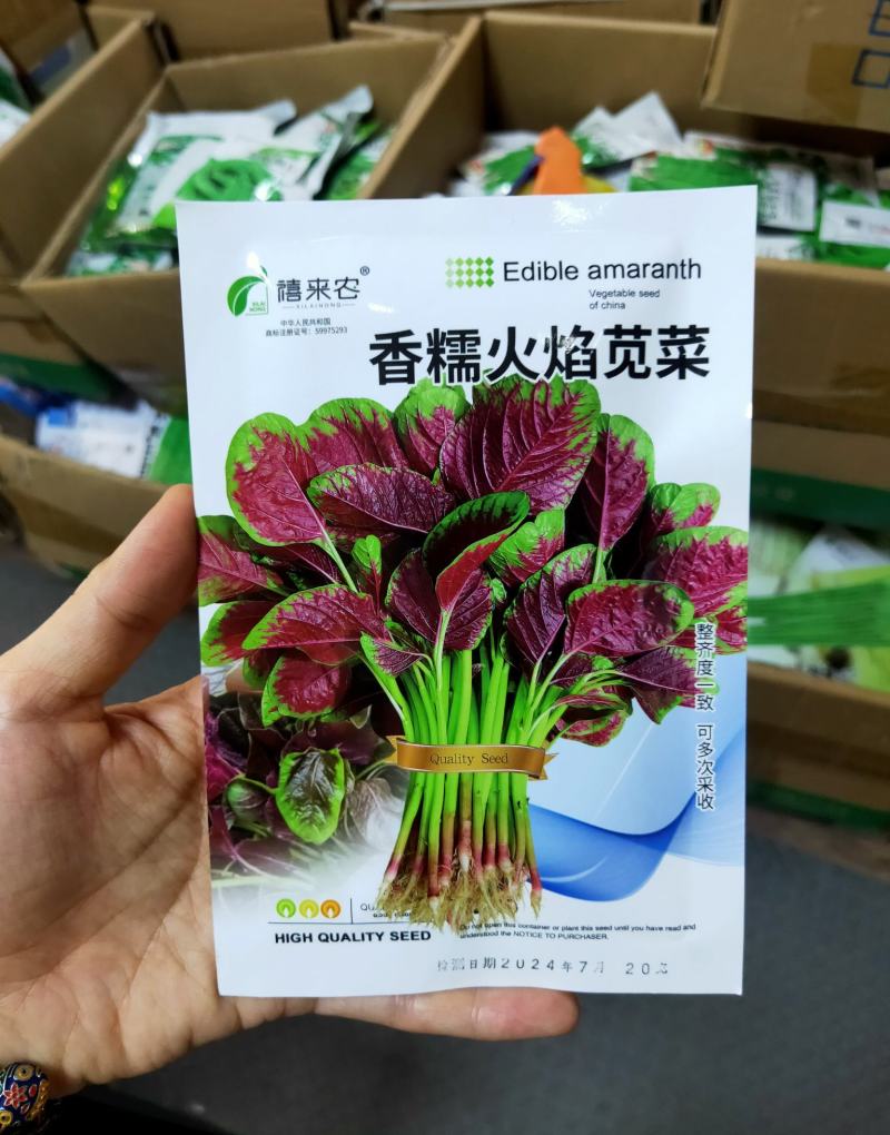 大圆叶红苋菜种子芥菜种子耐热耐寒耐湿中早熟品种农家庭院