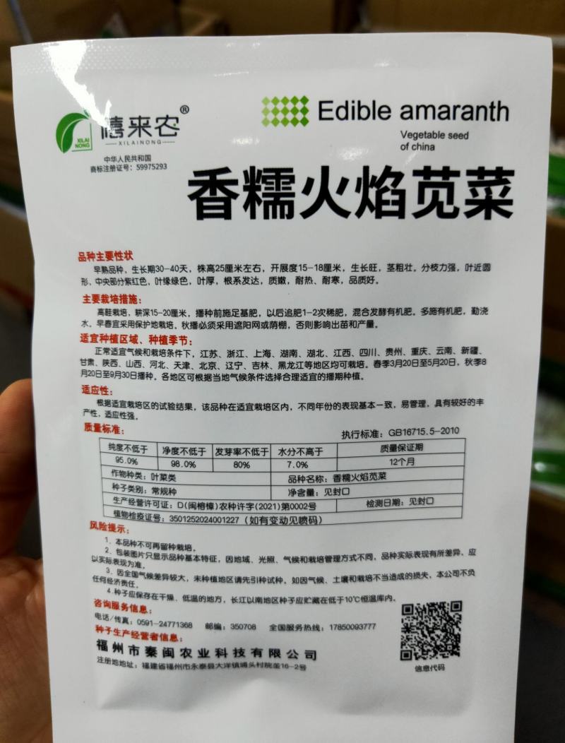 大圆叶红苋菜种子芥菜种子耐热耐寒耐湿中早熟品种农家庭院