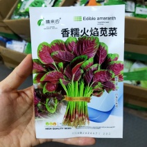 大圆叶红苋菜种子芥菜种子耐热耐寒耐湿中早熟品种农家庭院