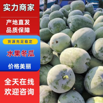 产地精品水果冬瓜批量走货价格低各种规格