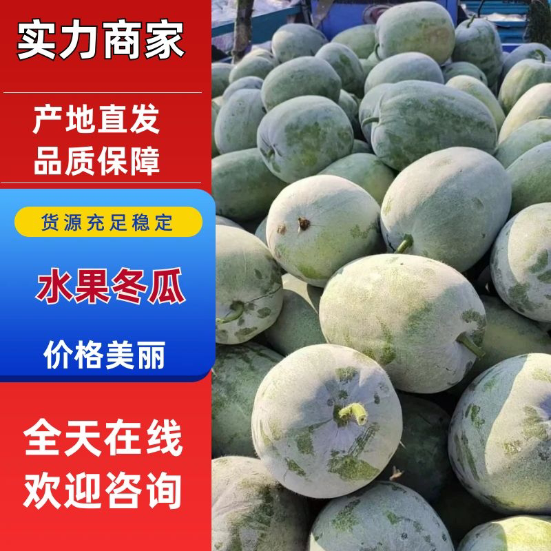 产地精品水果冬瓜批量走货价格低各种规格