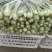 意大利生菜4两~5两基地直供品质保证，欢迎来电洽谈合作