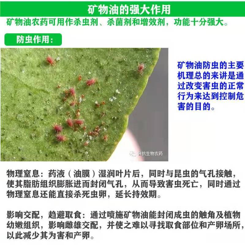 晋德威99%矿物油柑橘树红蜘蛛品牌农药杀虫杀螨清园剂