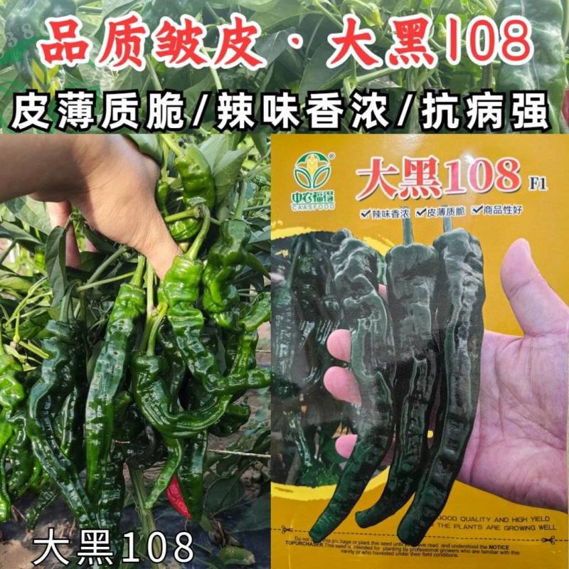 大黑108皱皮辣椒种子皱皱辣薄皮香辣大果黑绿皮大田用辣椒