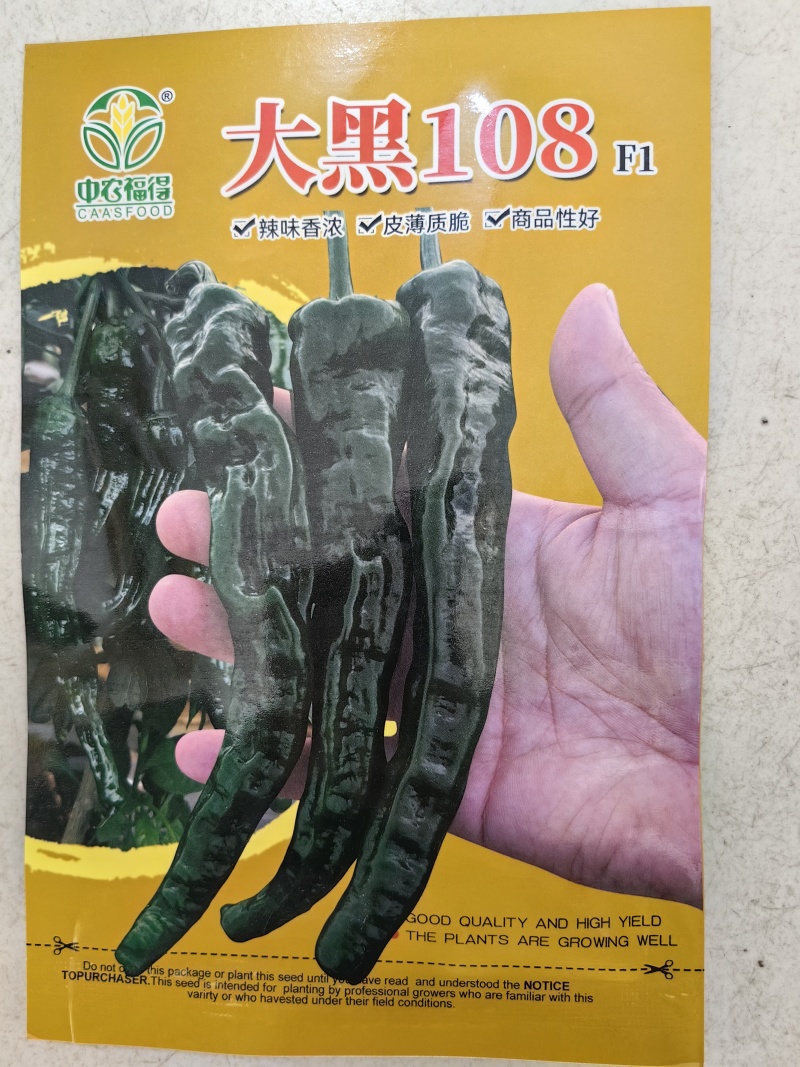 大黑108皱皮辣椒种子皱皱辣薄皮香辣大果黑绿皮大田用辣椒