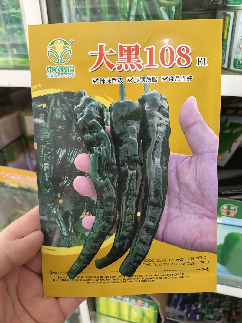 大黑108皱皮辣椒种子皱皱辣薄皮香辣大果黑绿皮大田用辣椒