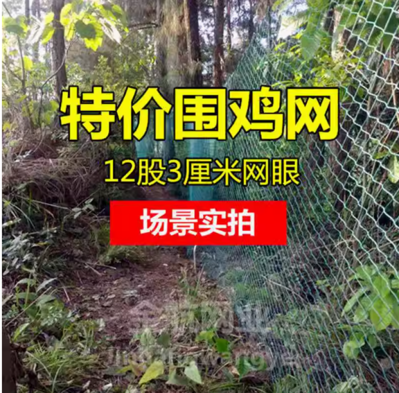 养鸡网养殖围网拦鸡网尼龙网安全网隔离网菜园围栏网聚乙烯防护网