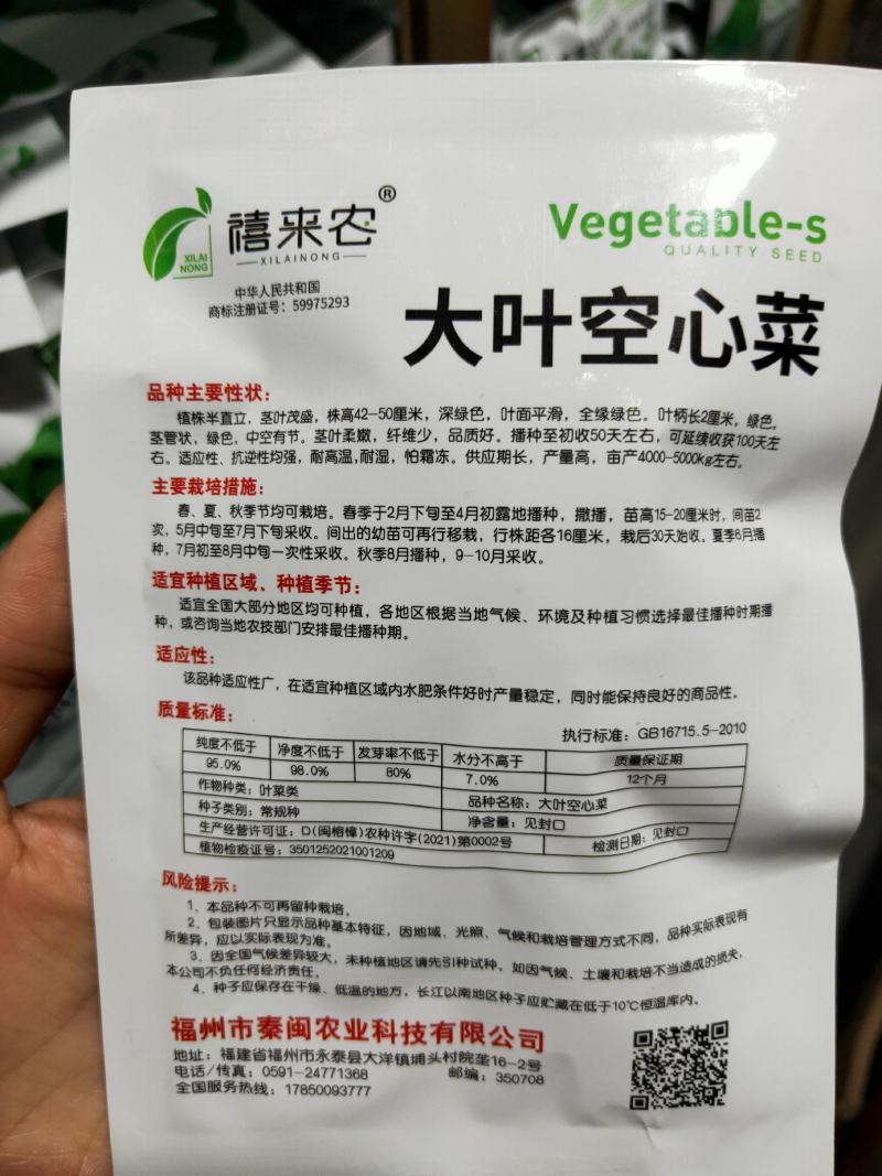 大叶空心菜籽种种子四季菜籽蔬菜空心菜种籽种孑水培农家阳台