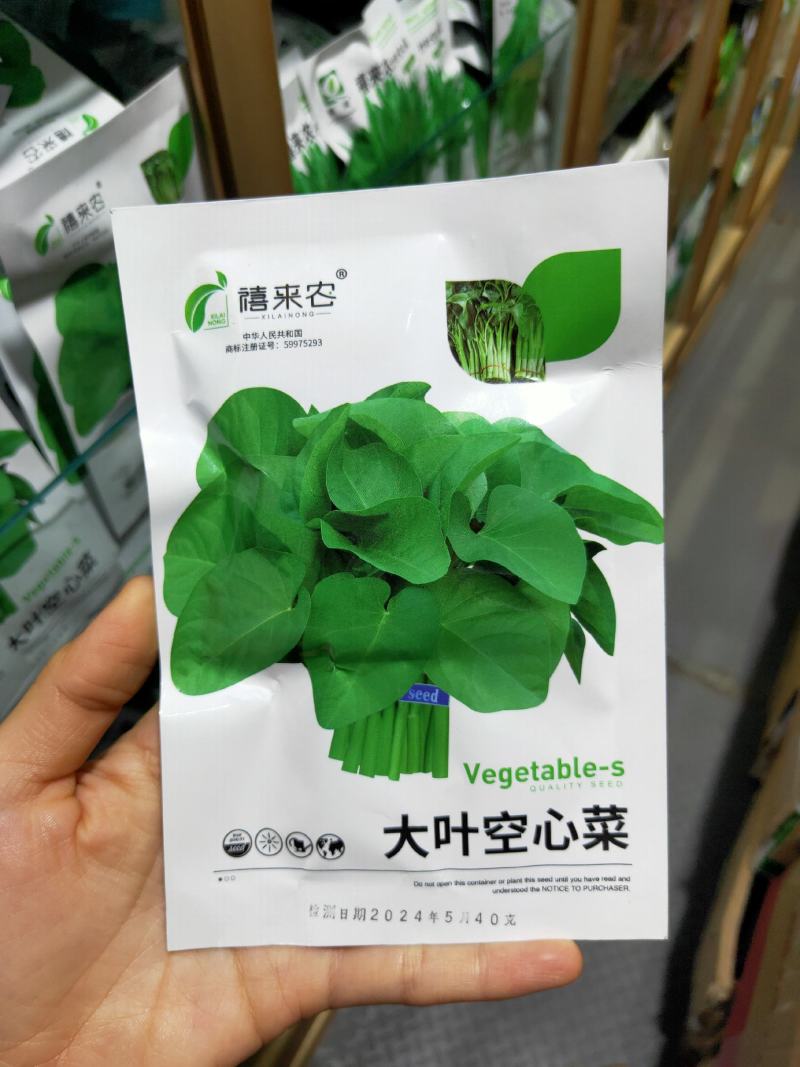 大叶空心菜籽种种子四季菜籽蔬菜空心菜种籽种孑水培农家阳台