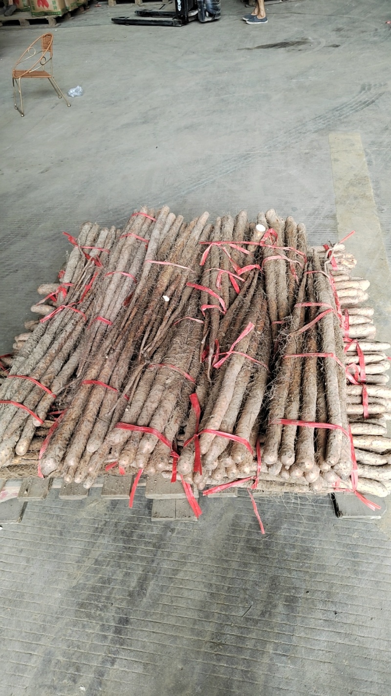 铁棍山药代卖批发