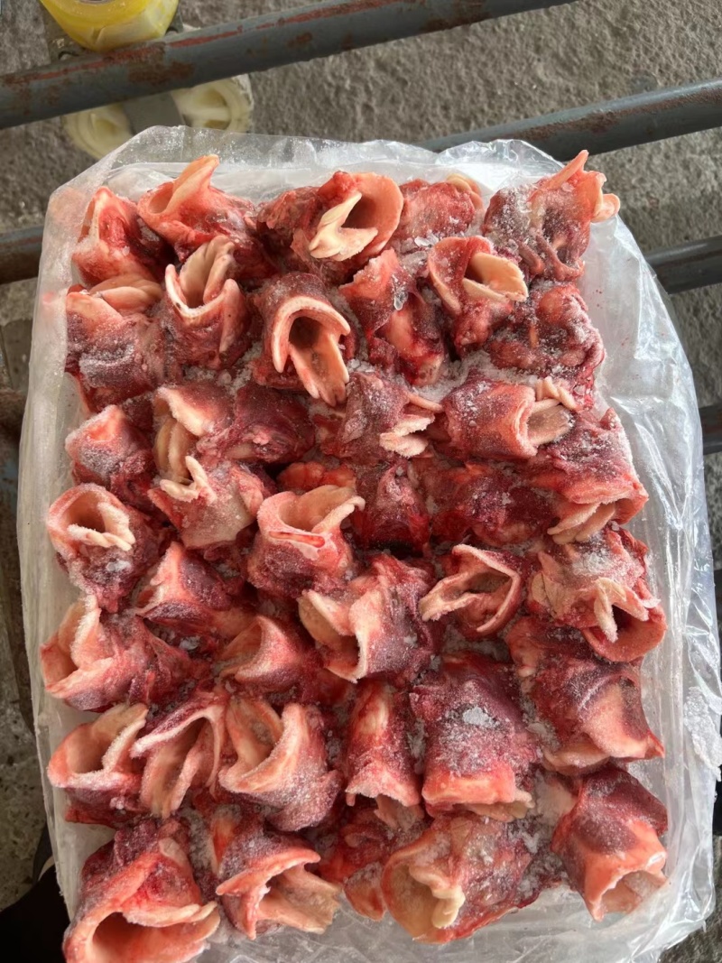 肥猪喉头