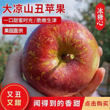 四川盐源丑苹果冰糖心苹果一件代发无渣甜度高电商批发走货