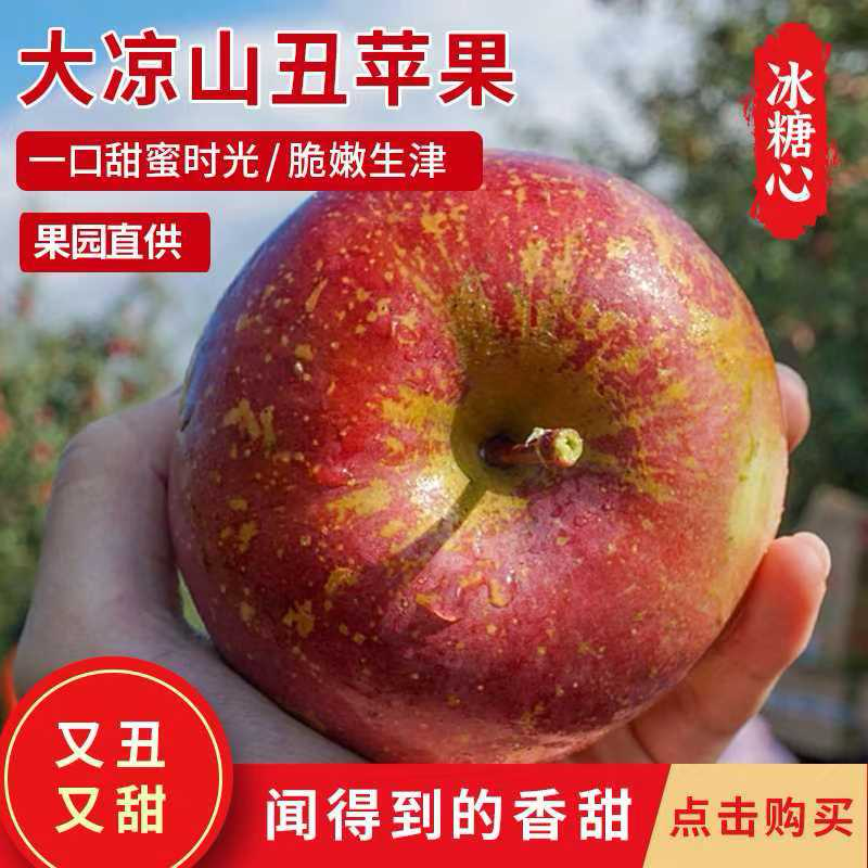 四川盐源丑苹果冰糖心苹果一件代发无渣甜度高电商批发走货
