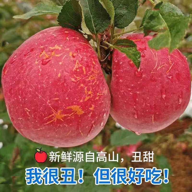 四川盐源丑苹果冰糖心苹果一件代发无渣甜度高电商批发走货