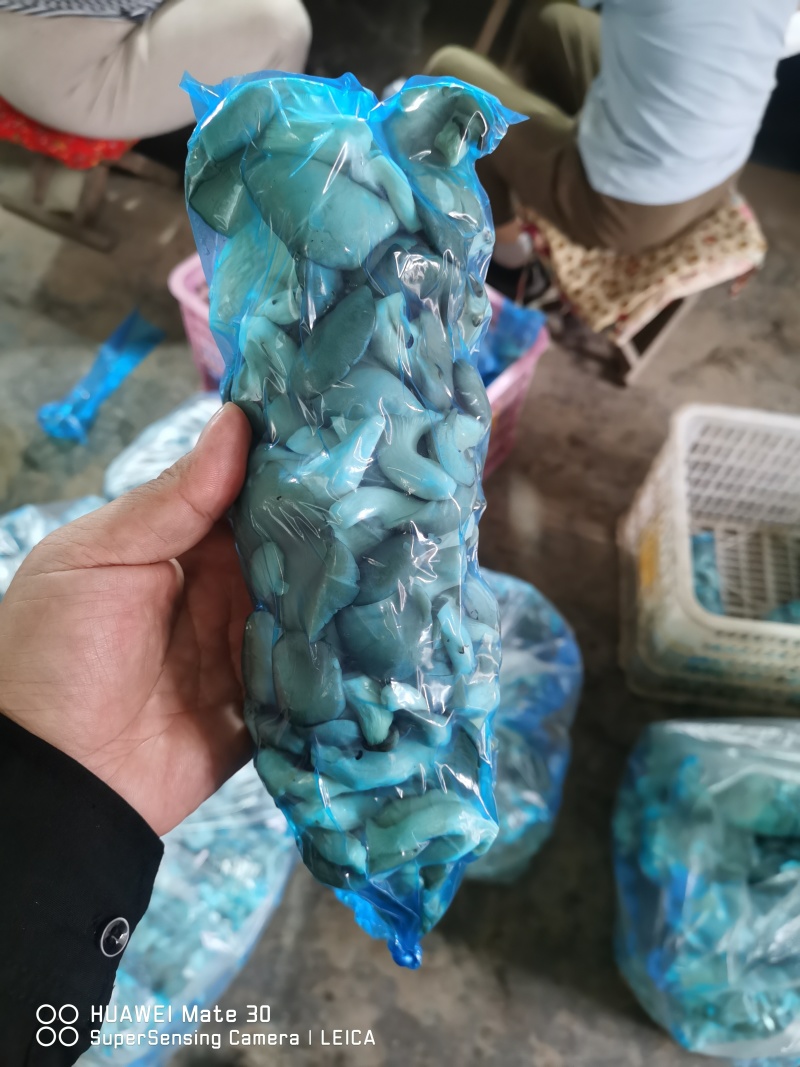 小黑平一手货源保质保量供货发货全国