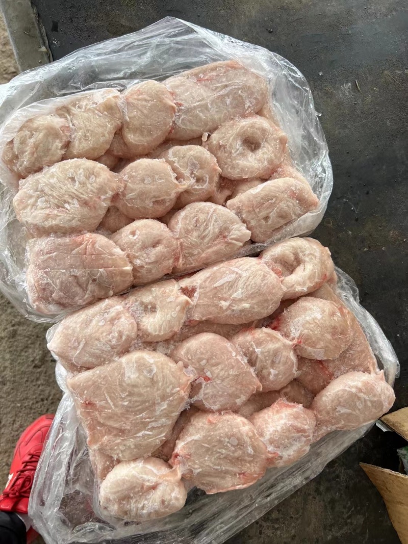 肥猪小肚