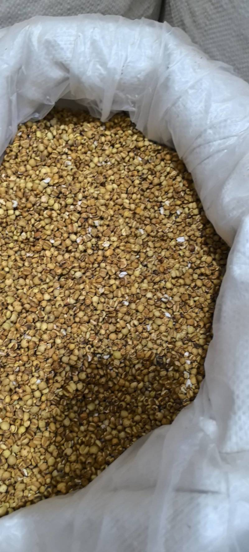 贵州薏米仁炒薏米小薏米仁万信药业只做保真药材