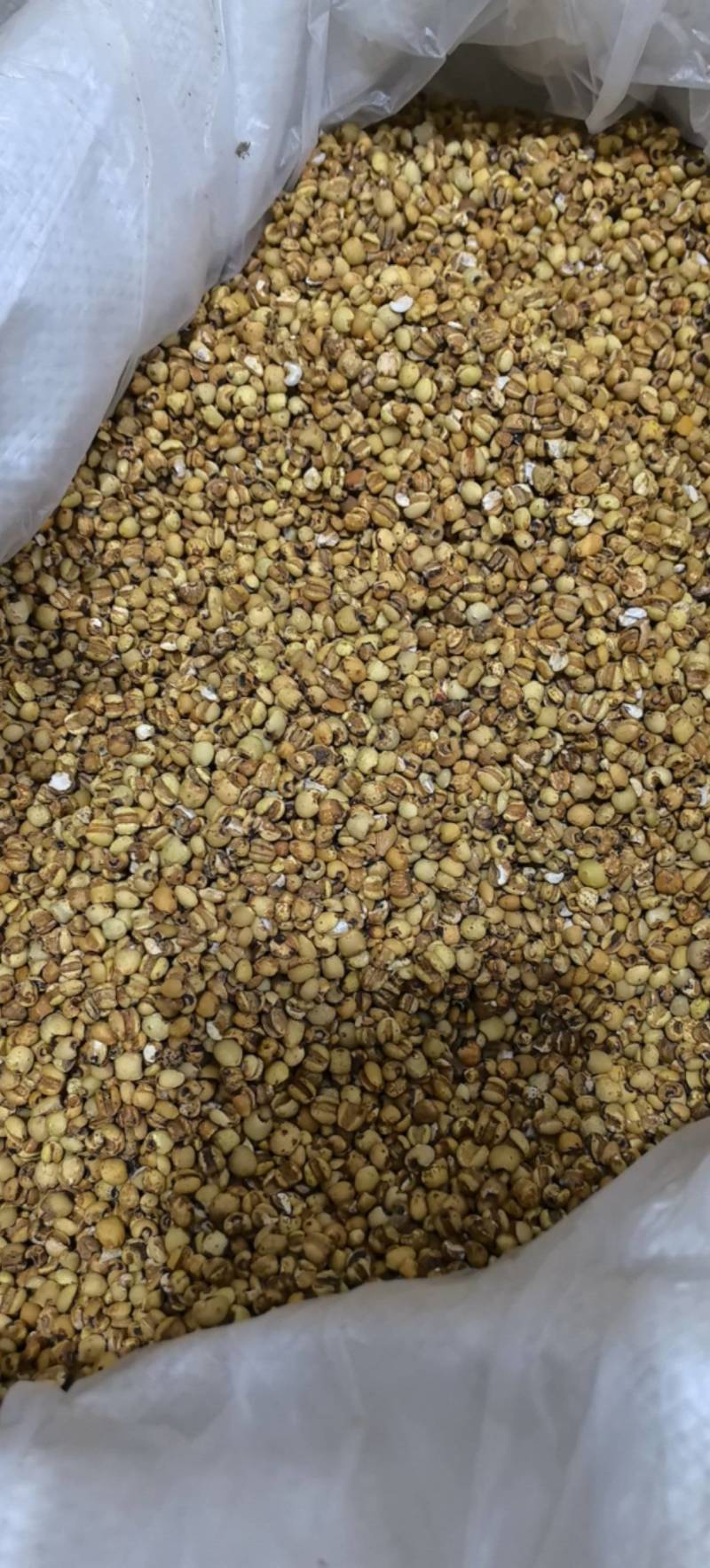 贵州薏米仁炒薏米小薏米仁万信药业只做保真药材