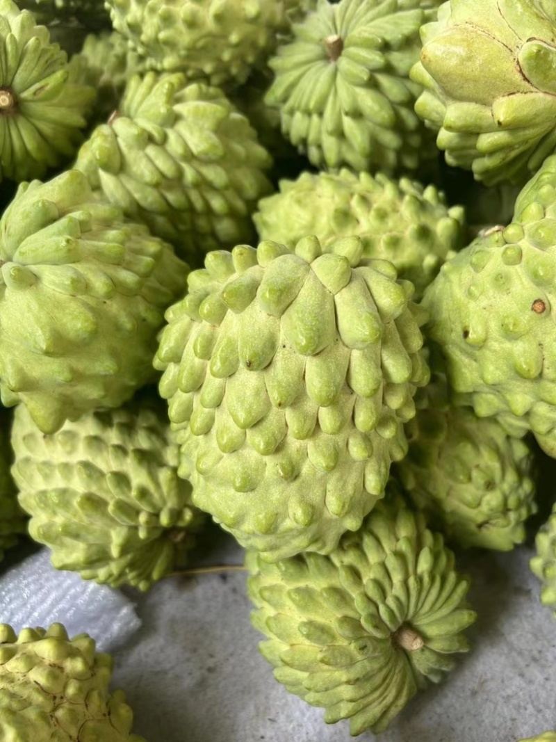 云南凤梨释迦果牛奶番荔枝释迦果新鲜甜水果大目释迦果批发价