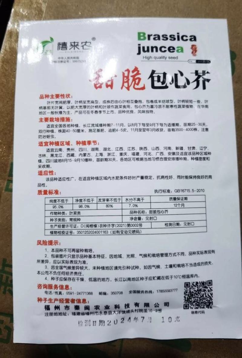 包心甜芥菜种子四季阳台小院盆栽酸菜农家蔬菜种子菜园地播